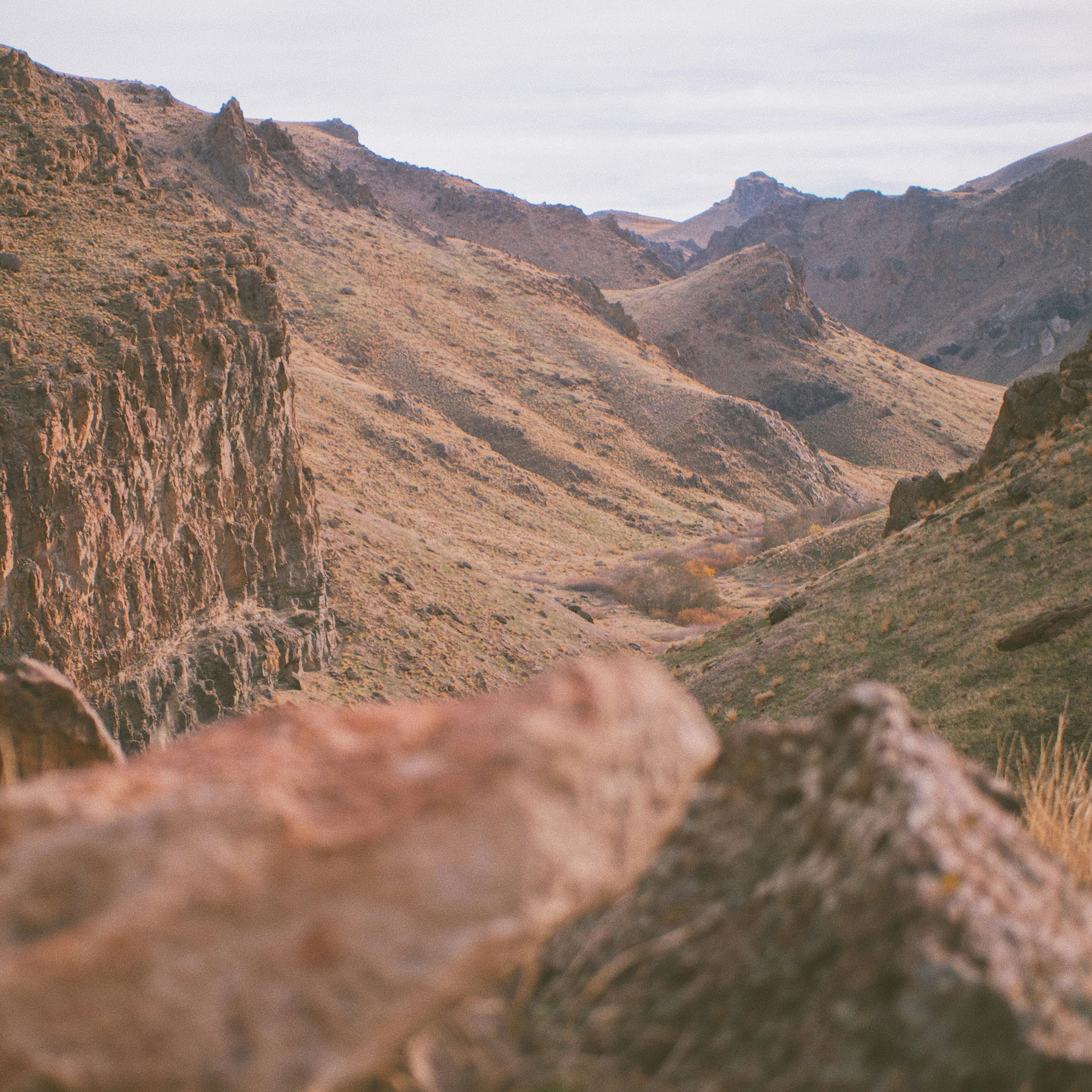 HVAC technician servicing a heating and cooling system in Caldwell, Idaho